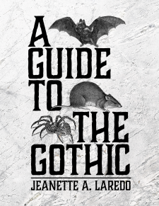 A Guide to the Gothic book cover